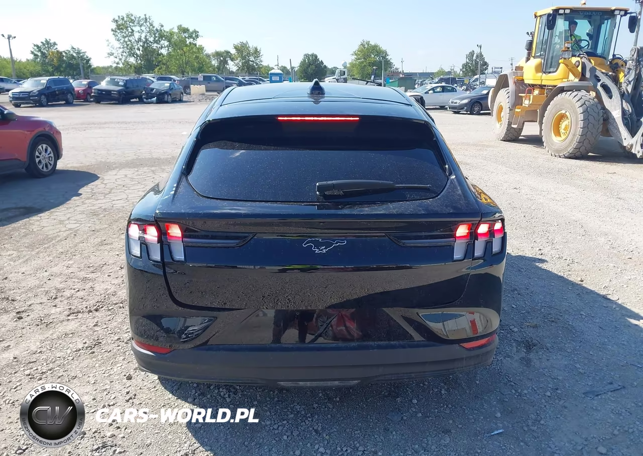 2025 Ford Mustang Mach-E Premium VIN:3FMTK3R70SMA10290 - 15