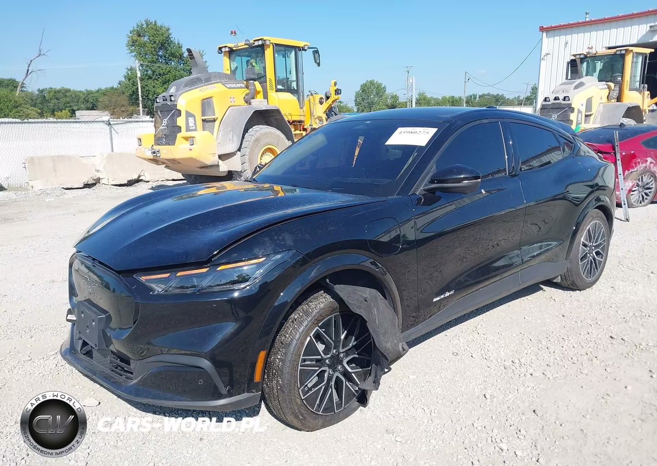 2025 Ford Mustang Mach-E Premium VIN:3FMTK3R70SMA10290 - 2