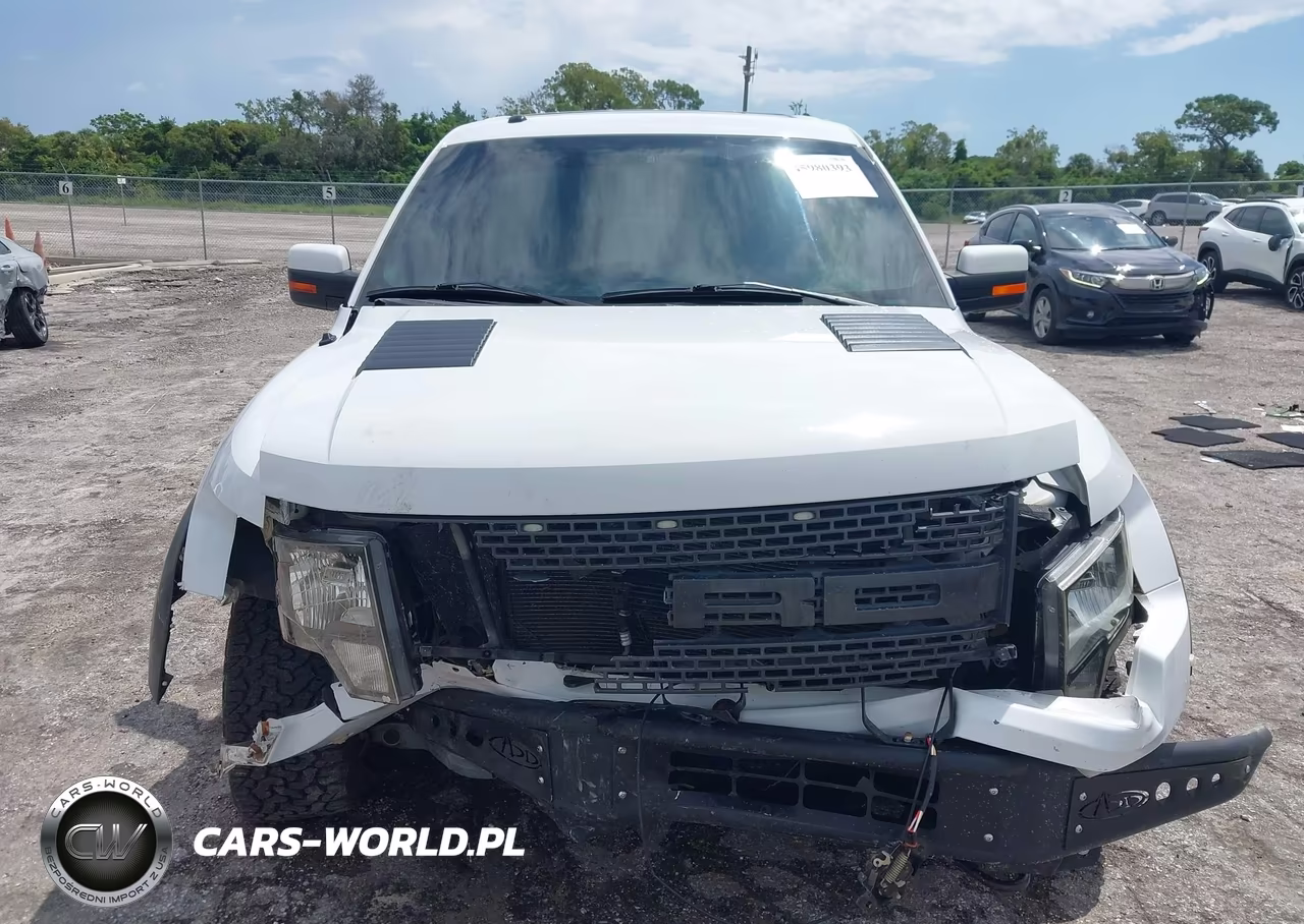2011 Ford F-150 Svt Raptor VIN:1FTFW1R62BFD01195 - 12