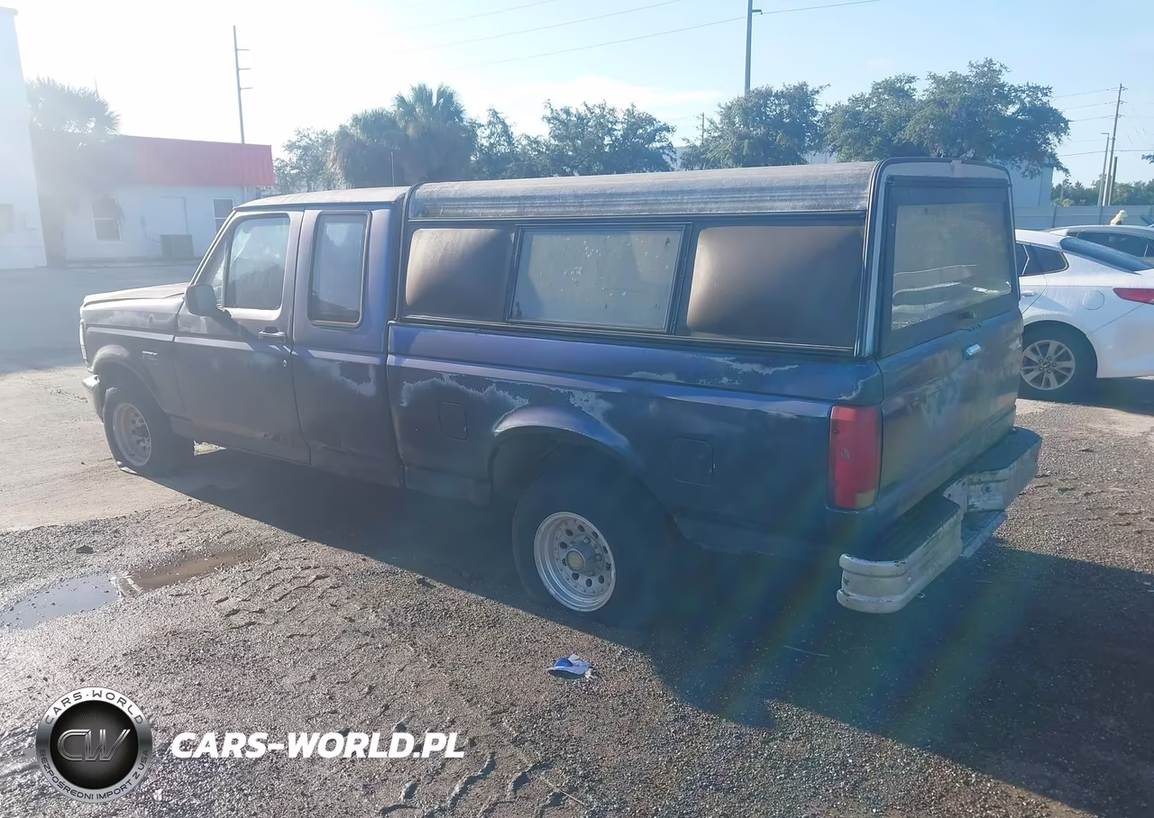1992 Ford F150 VIN:1FTEX15N3NKA10223 - 3