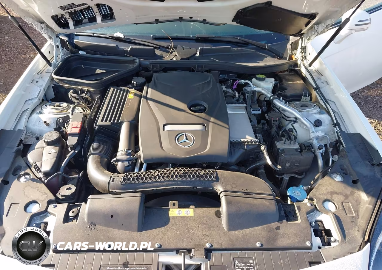 2018 Mercedes-Benz Slc 300 VIN:WDDPK3JA4JF149033 - 10