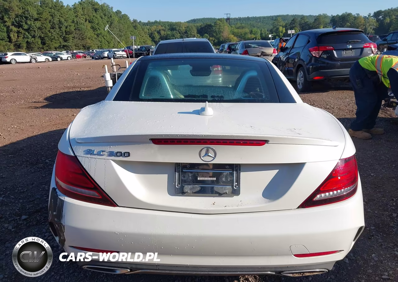 2018 Mercedes-Benz Slc 300 VIN:WDDPK3JA4JF149033 - 17