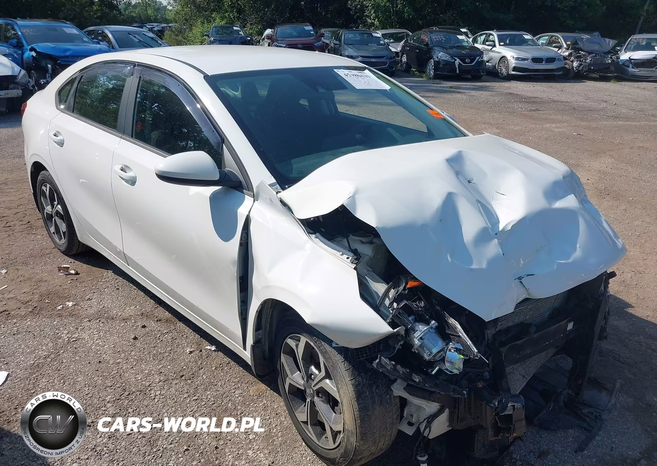 2019 Kia Forte Lxs – zdjęcie 1 z 17