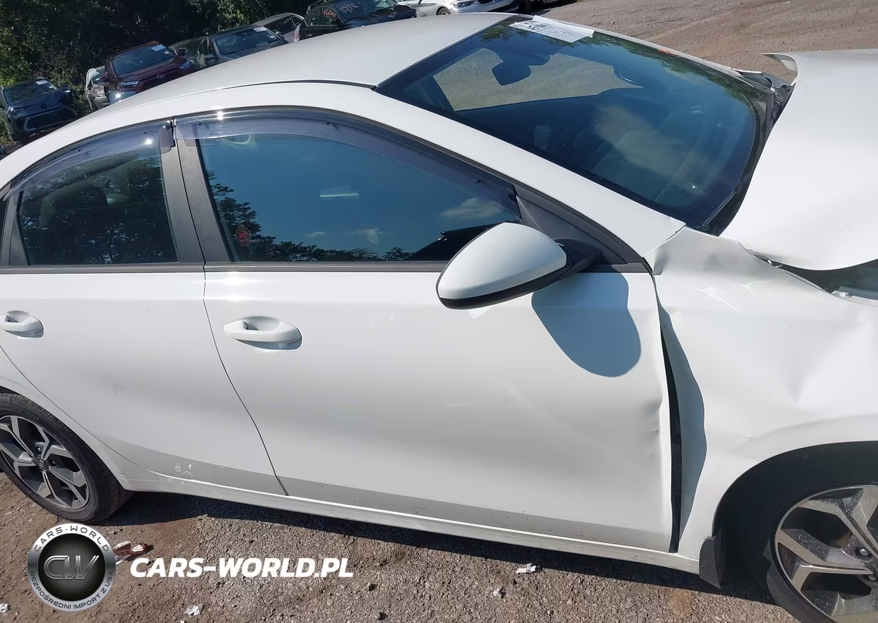 2019 Kia Forte Lxs VIN:3KPF24AD8KE076847 - 14