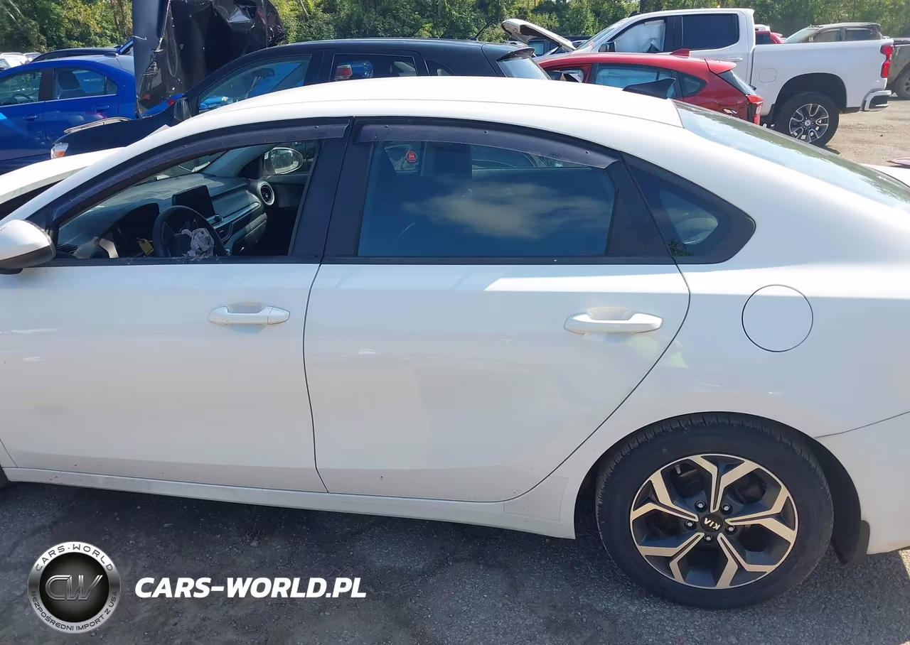 2019 Kia Forte Lxs VIN:3KPF24AD8KE076847 - 15