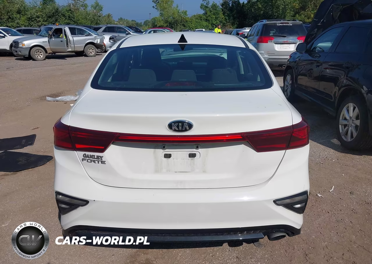 2019 Kia Forte Lxs VIN:3KPF24AD8KE076847 - 17