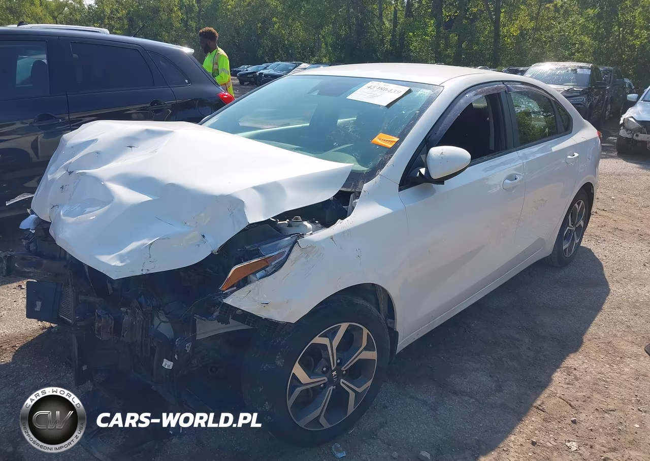 2019 Kia Forte Lxs VIN:3KPF24AD8KE076847 - 2