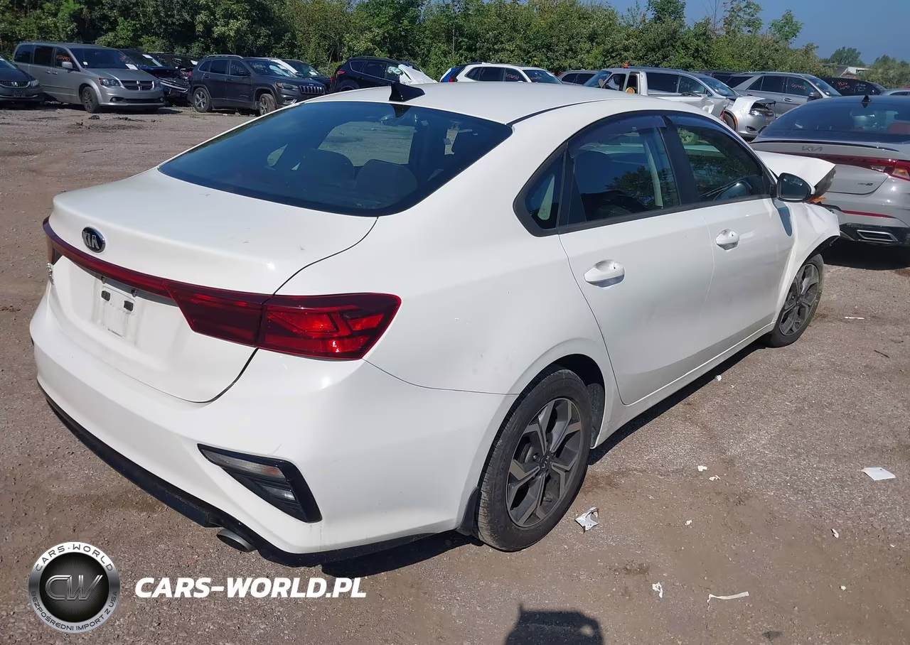 2019 Kia Forte Lxs VIN:3KPF24AD8KE076847 - 4