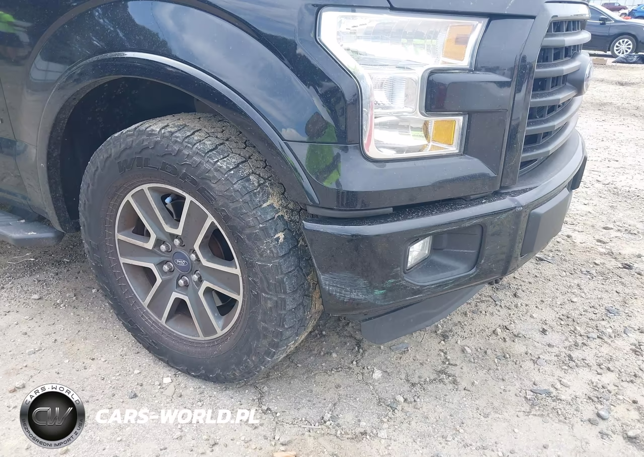 2016 Ford F-150 Xlt VIN:1FTEX1CP0GFC17166 - 18