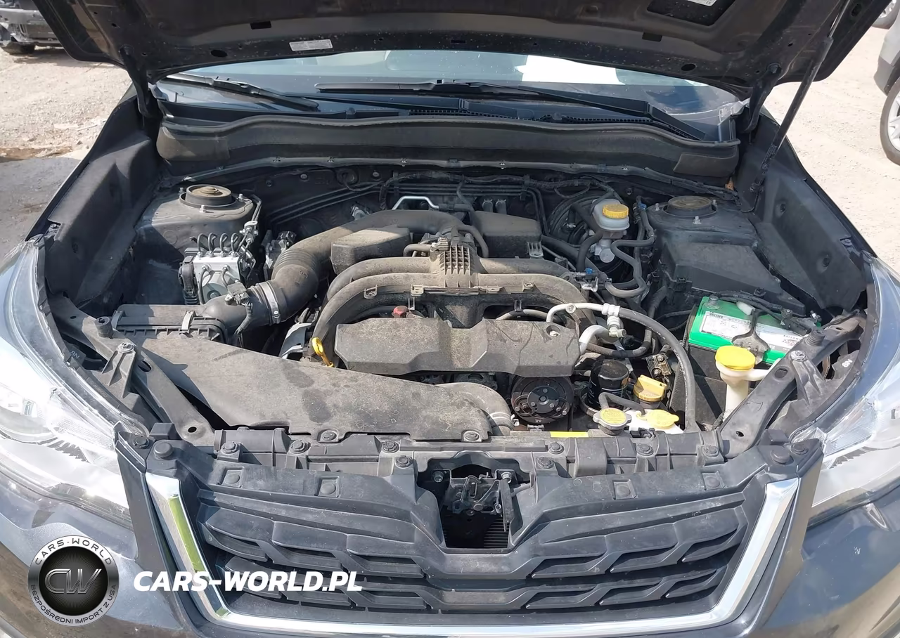 2017 Subaru Forester 2.5I Limited VIN:JF2SJAJC9HH546752 - 10