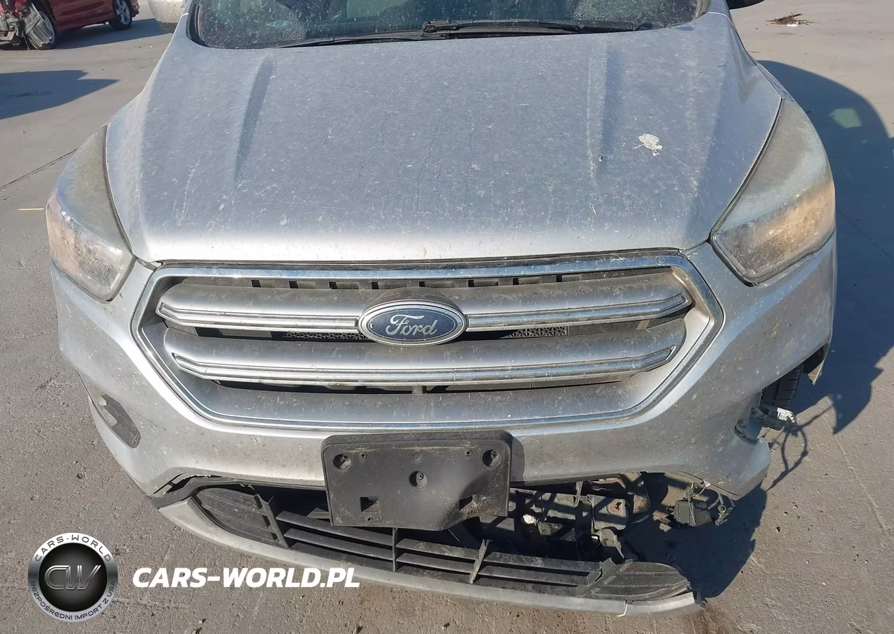 2017 Ford Escape Se VIN:1FMCU0GD7HUA13743 - 18