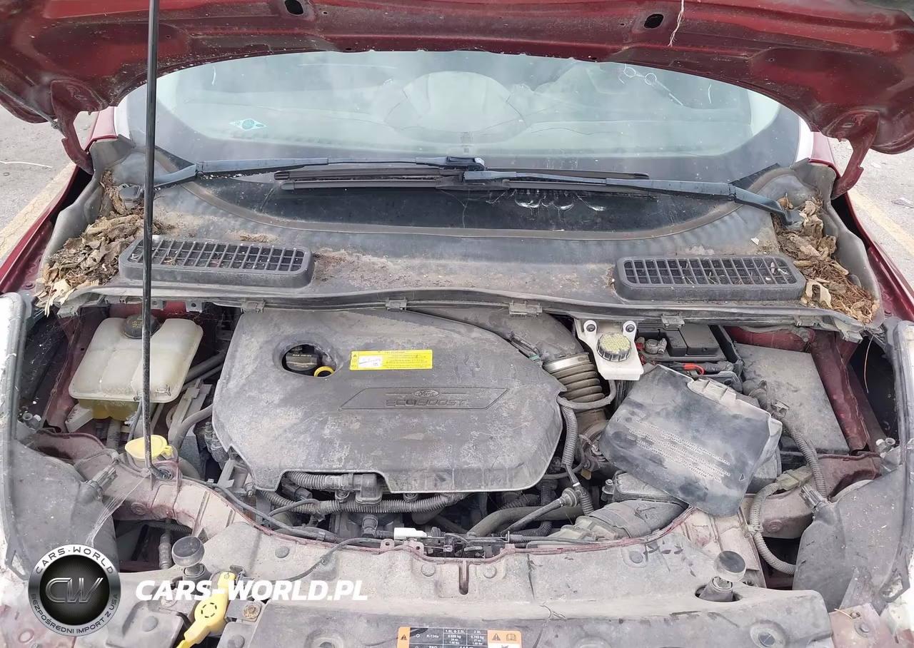 2015 Ford Escape Se VIN:1FMCU9GX4FUB26271 - 10