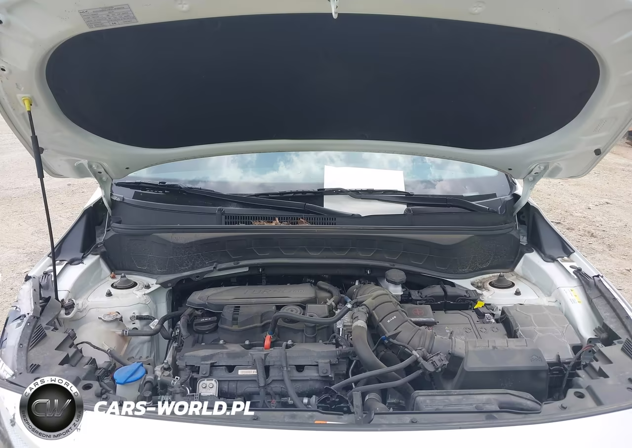 2024 Kia Seltos Sx Turbo VIN:KNDETCA79R7545032 - 10