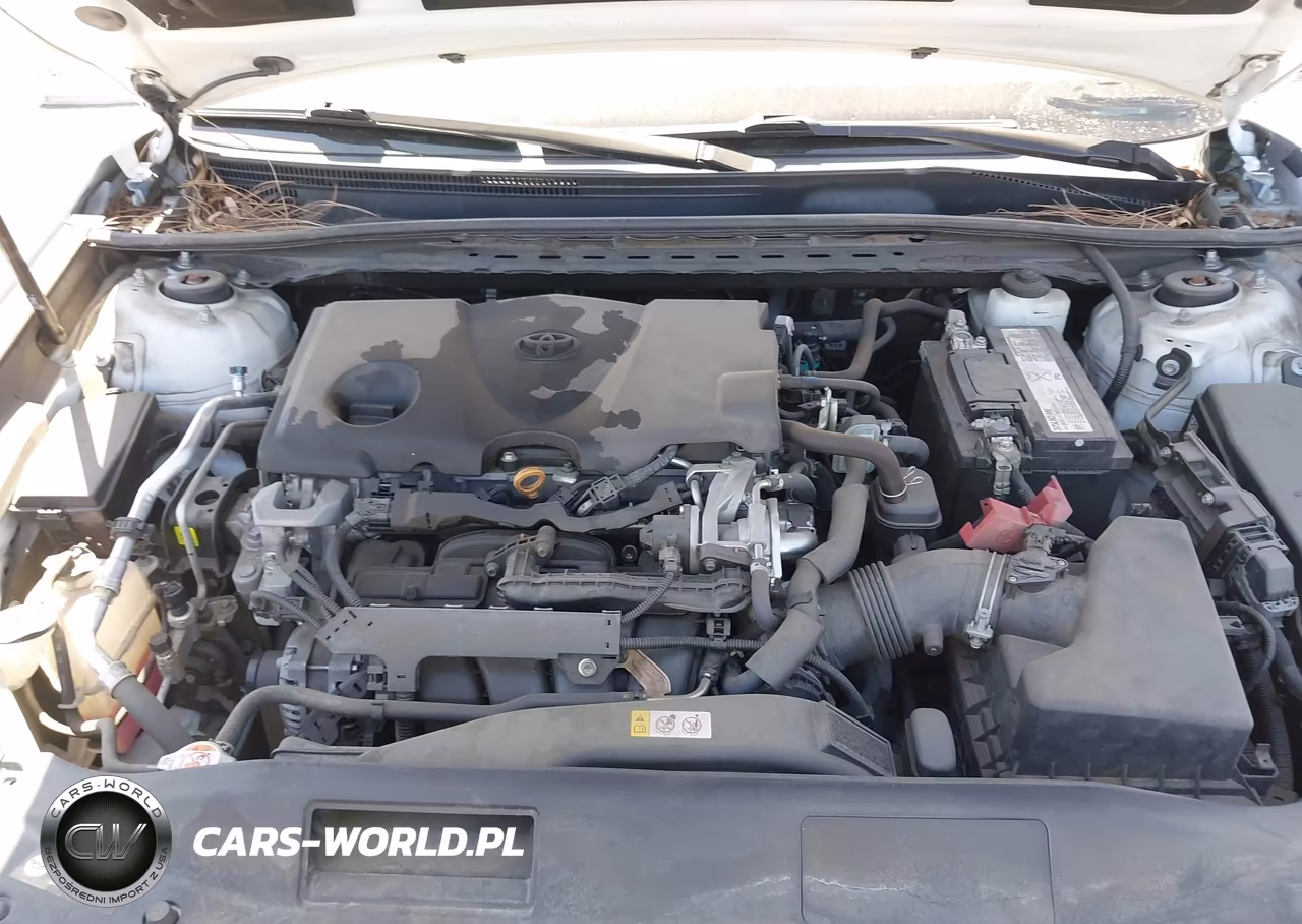 2019 Toyota Camry Xle VIN:4T1B11HK1KU792135 - 10