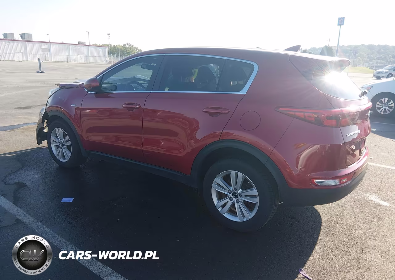 2019 Kia Sportage Lx VIN:KNDPMCAC6K7516922 - 3