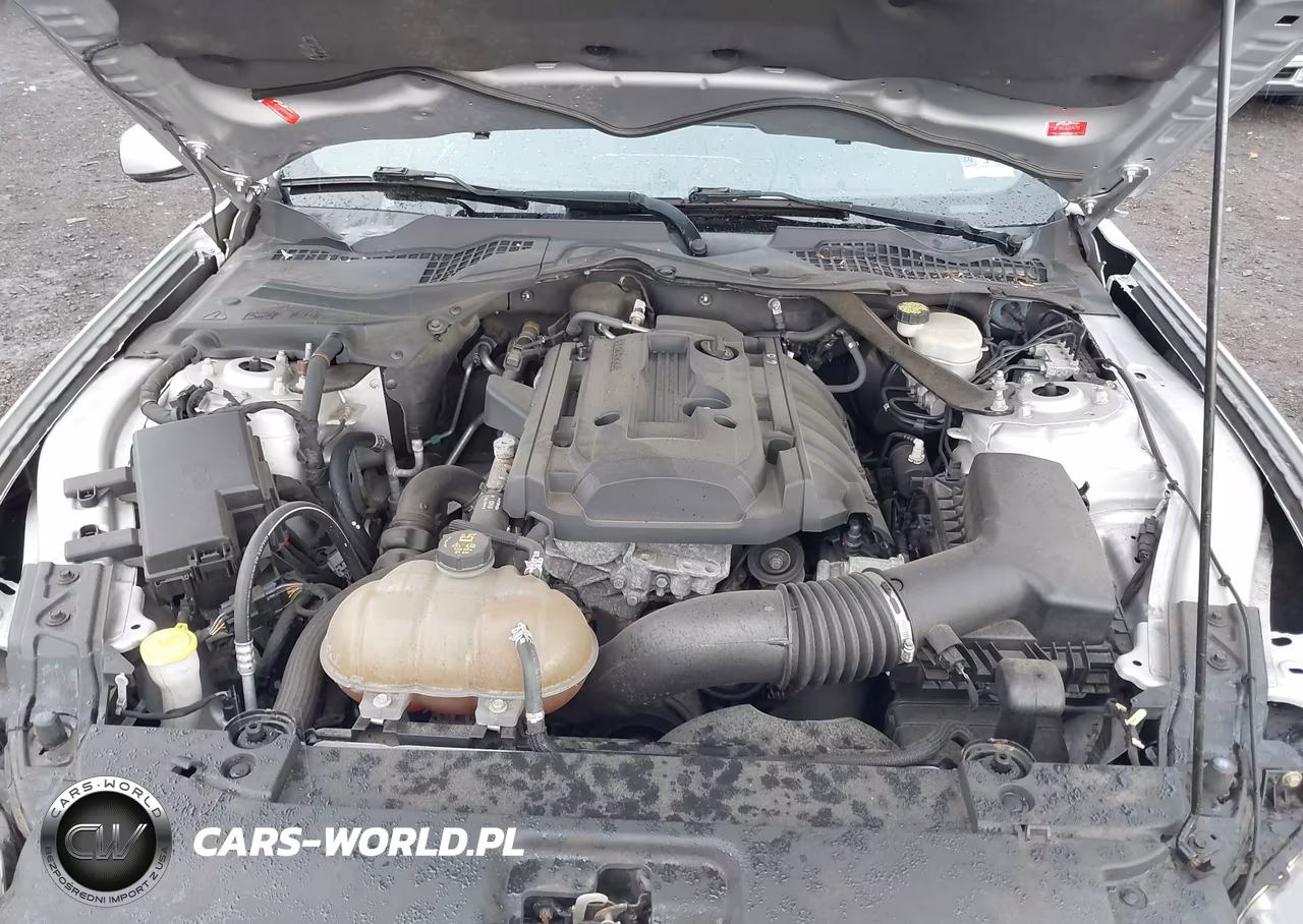 2015 Ford Mustang Ecoboost Premium VIN:1FATP8UH1F5343635 - 10