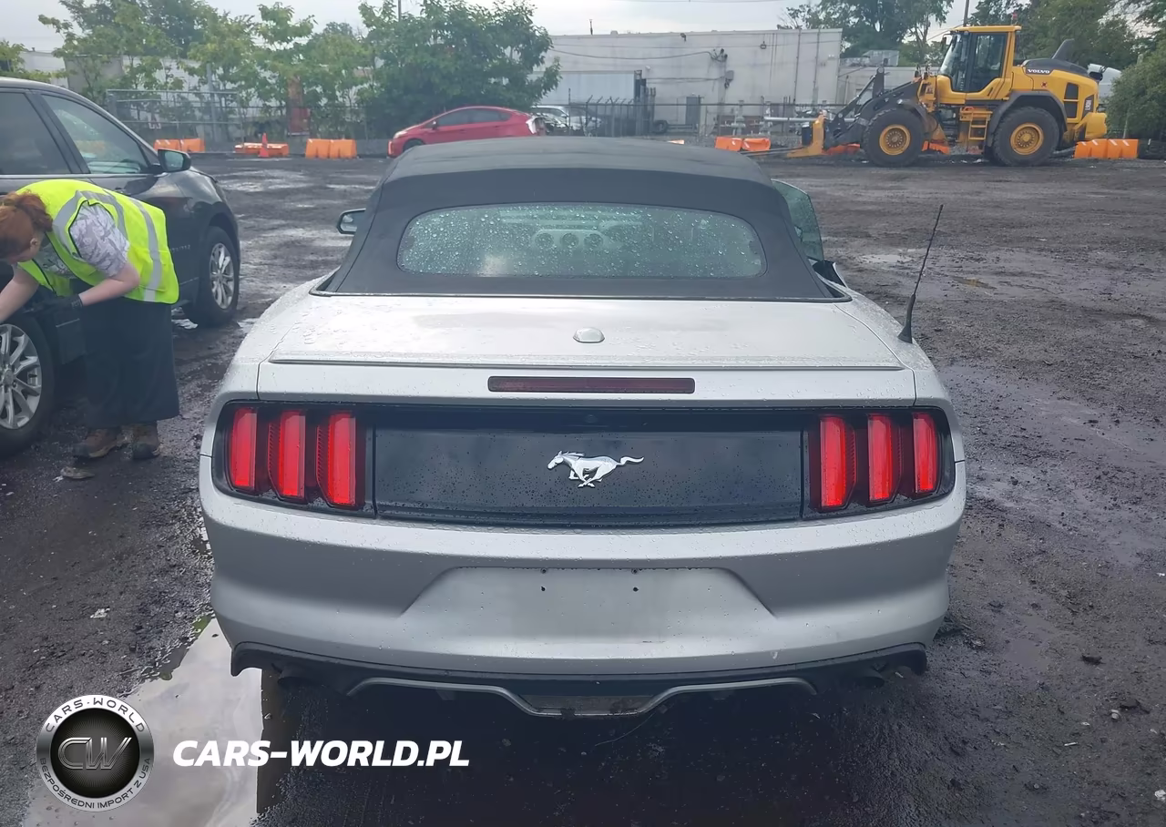 2015 Ford Mustang Ecoboost Premium VIN:1FATP8UH1F5343635 - 16