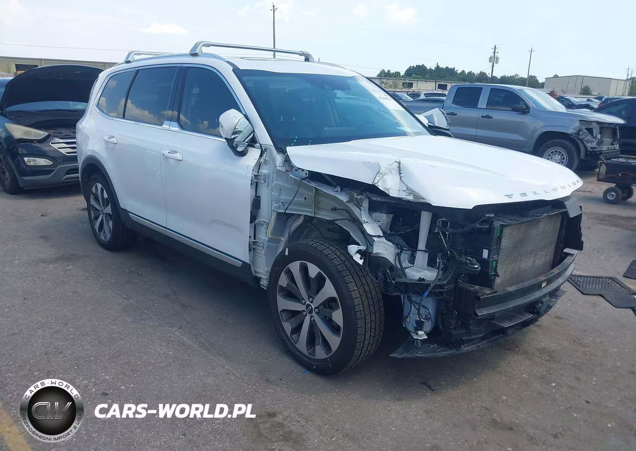 2020 Kia Telluride Ex VIN:5XYP34HC7LG056253 - 1