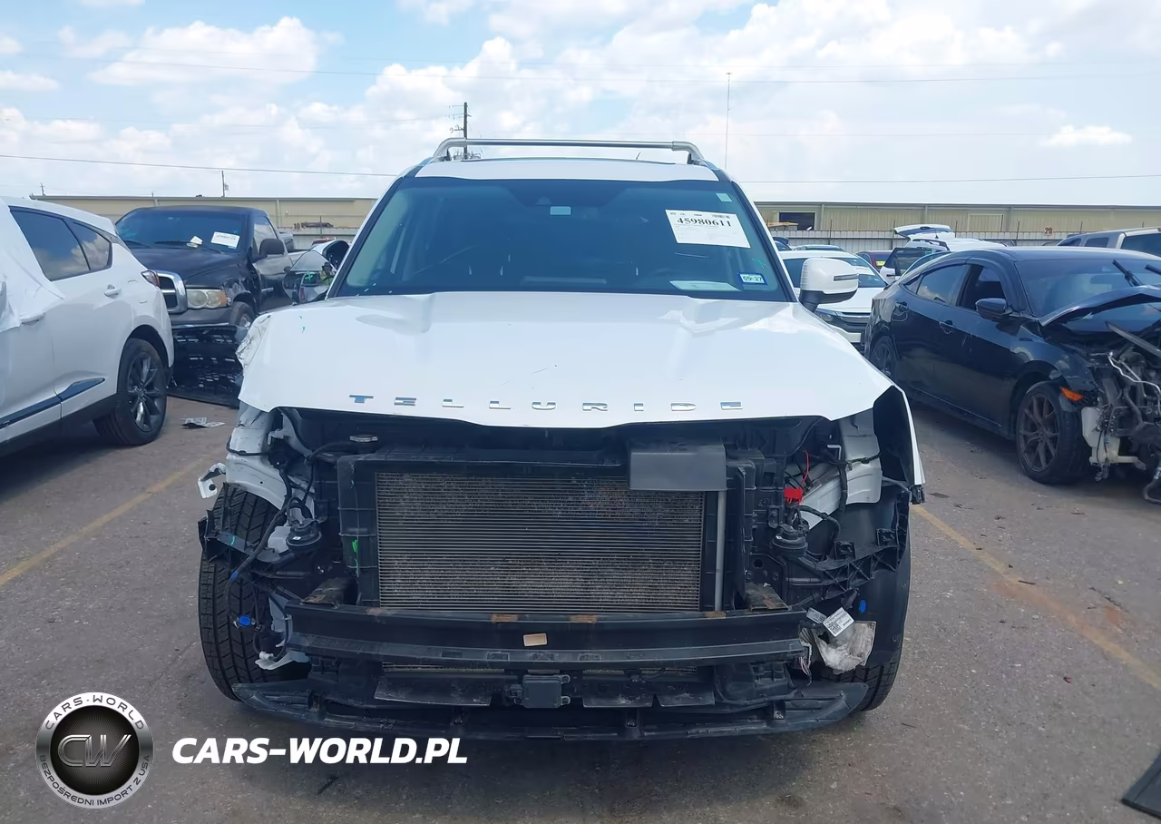 2020 Kia Telluride Ex VIN:5XYP34HC7LG056253 - 13