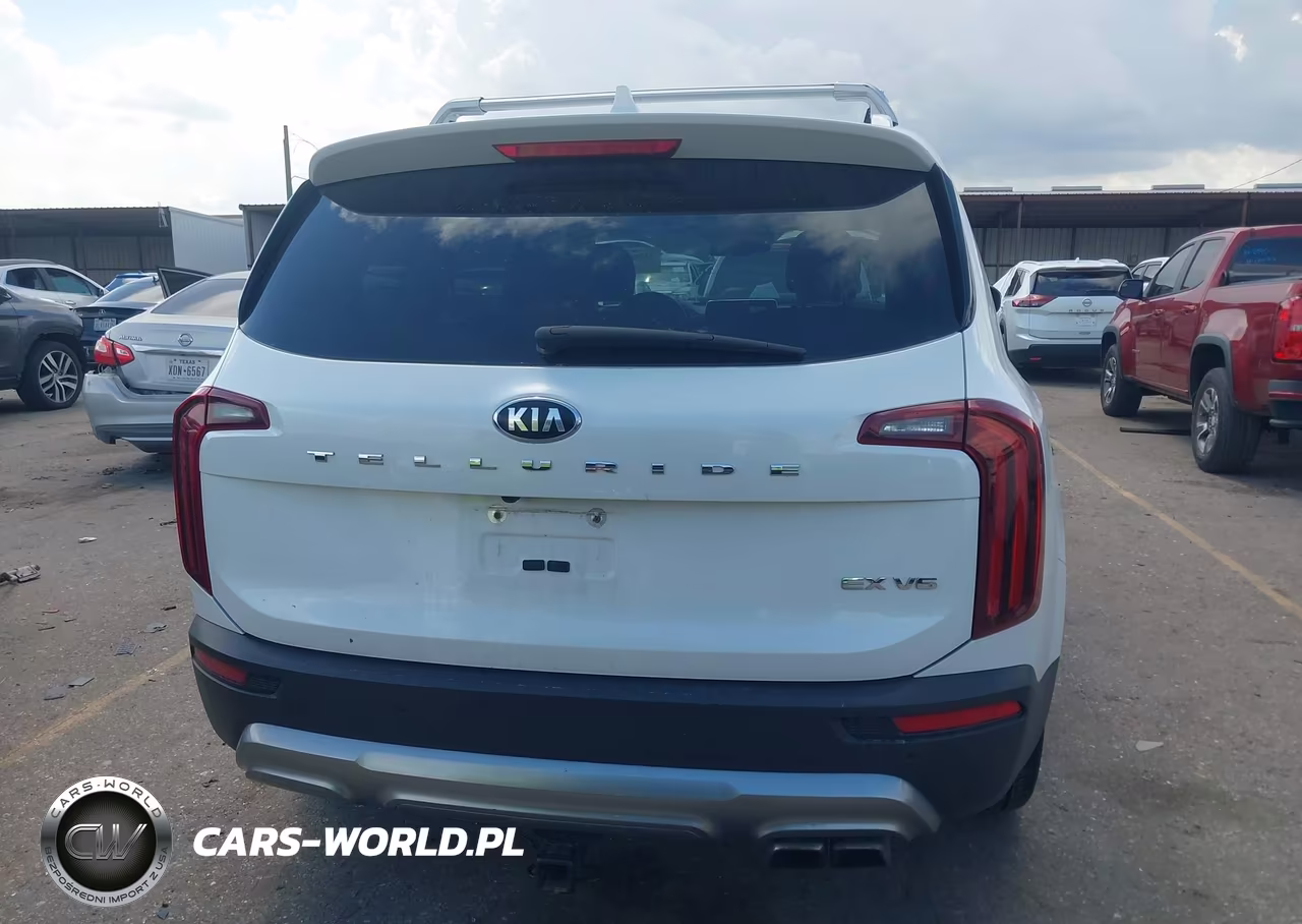 2020 Kia Telluride Ex VIN:5XYP34HC7LG056253 - 17