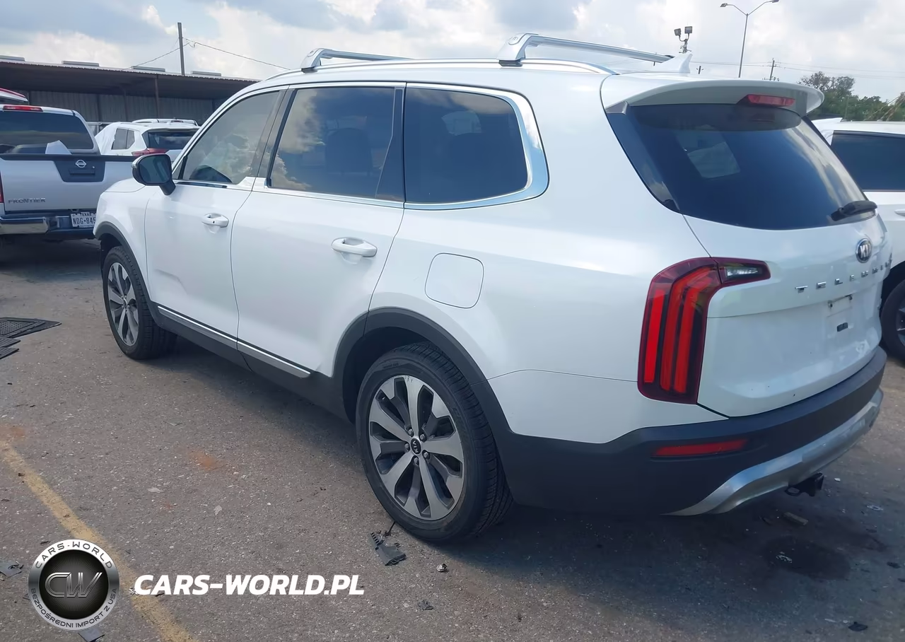 2020 Kia Telluride Ex VIN:5XYP34HC7LG056253 - 3