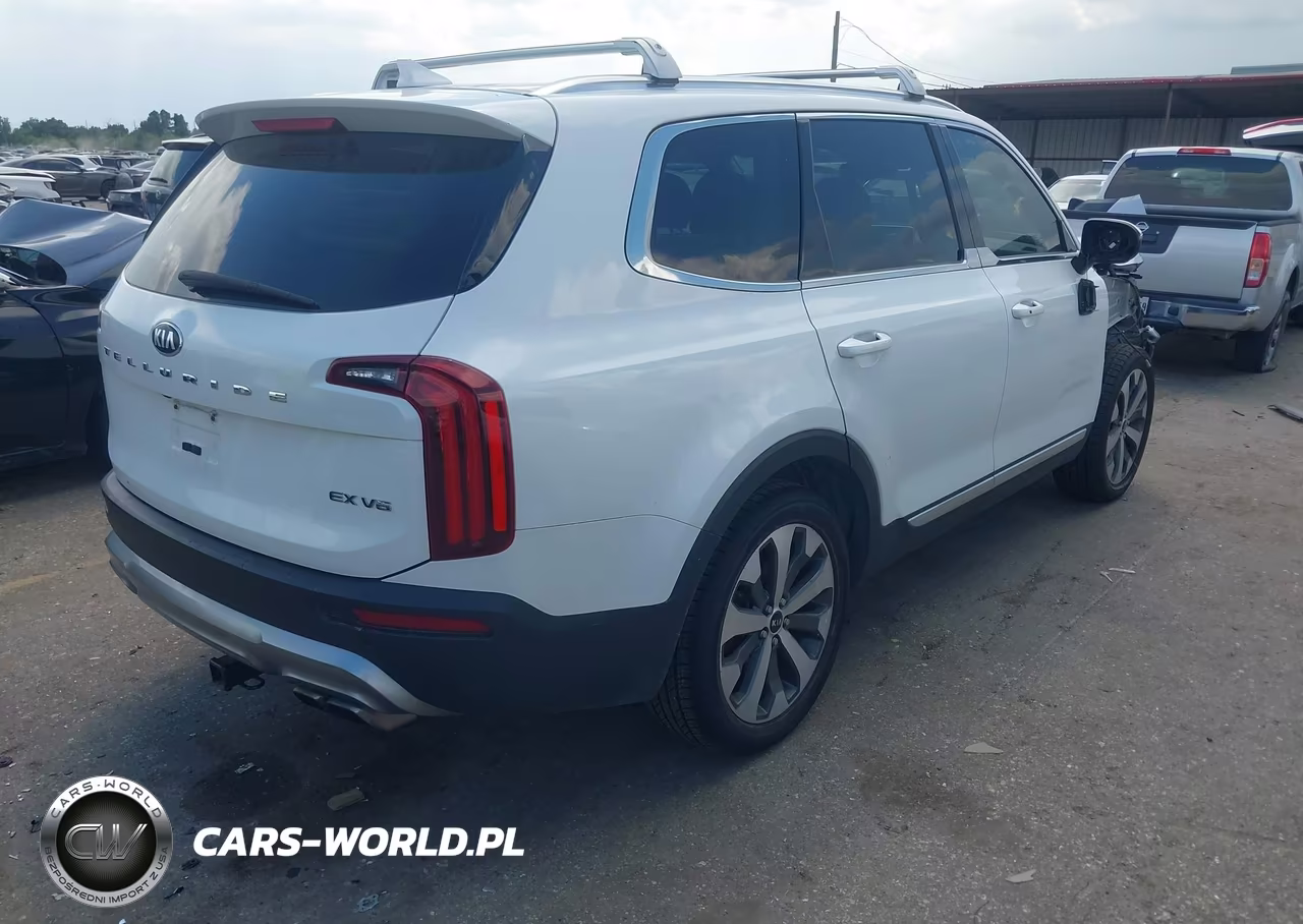 2020 Kia Telluride Ex VIN:5XYP34HC7LG056253 - 4