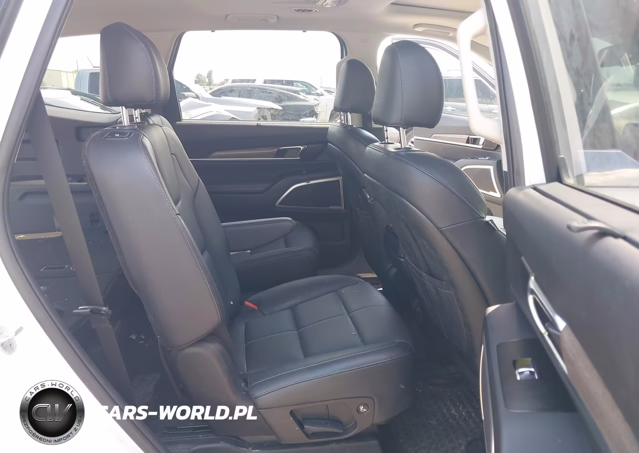 2020 Kia Telluride Ex VIN:5XYP34HC7LG056253 - 8