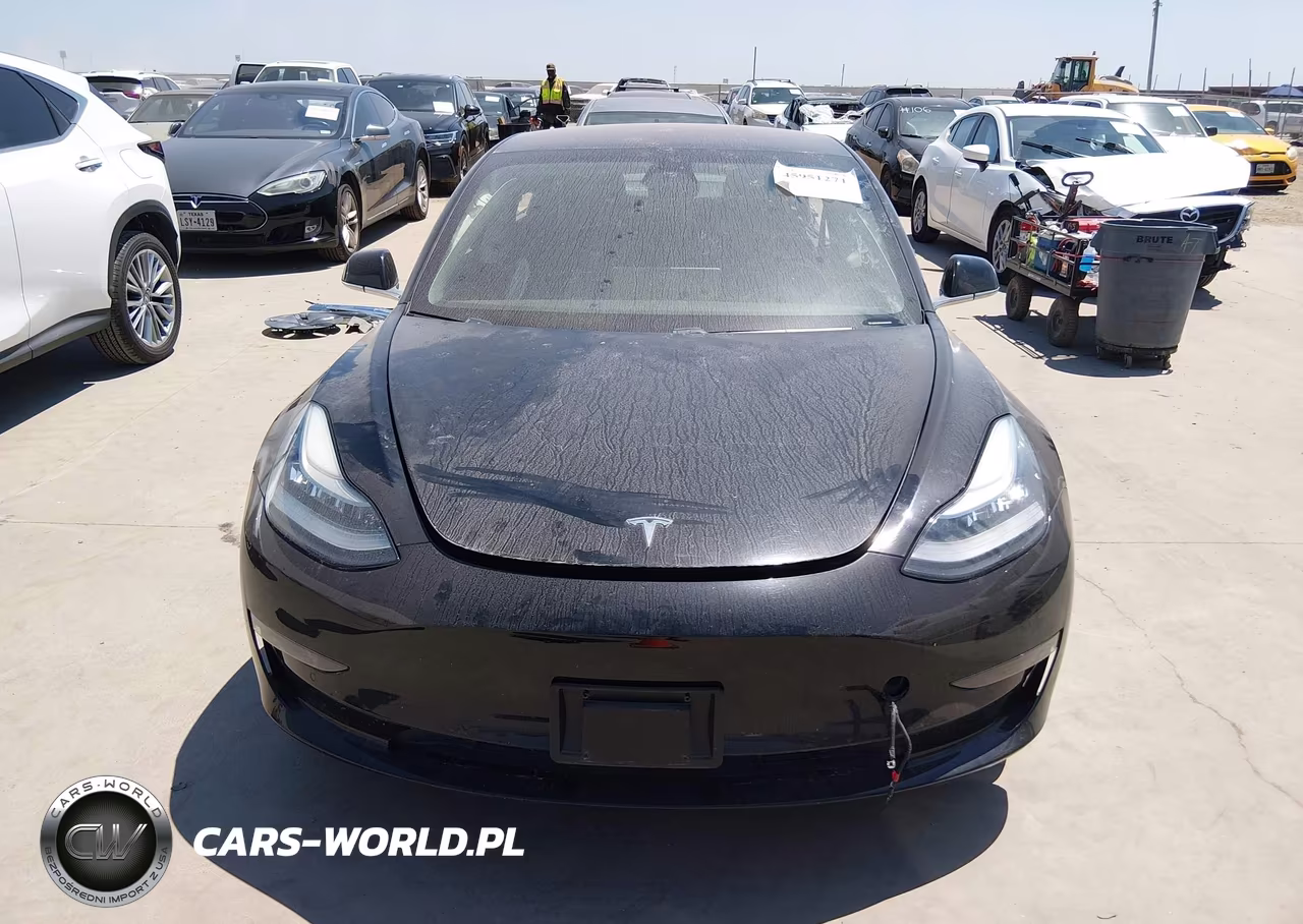 2019 Tesla Model 3 Long Range-Mid Range-Standard Range-Standard Range Plus VIN:5YJ3E1EA0KF306402 - 12