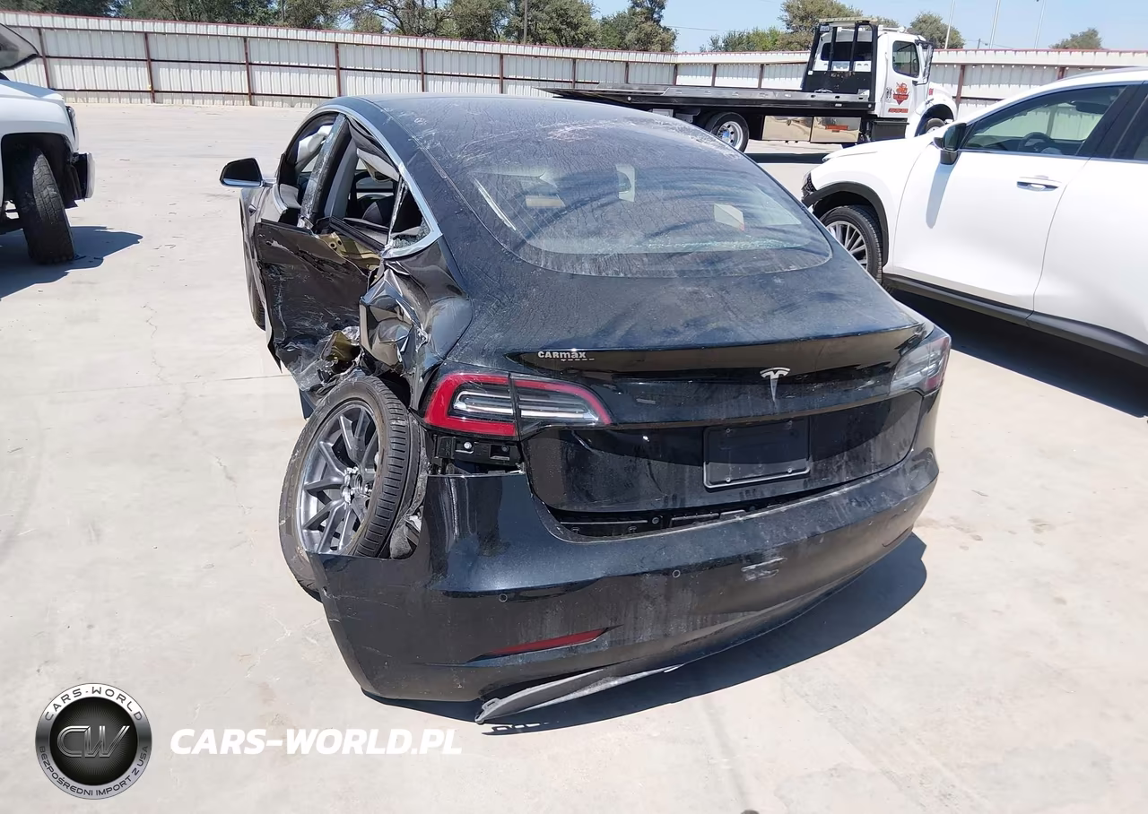 2019 Tesla Model 3 Long Range-Mid Range-Standard Range-Standard Range Plus VIN:5YJ3E1EA0KF306402 - 19