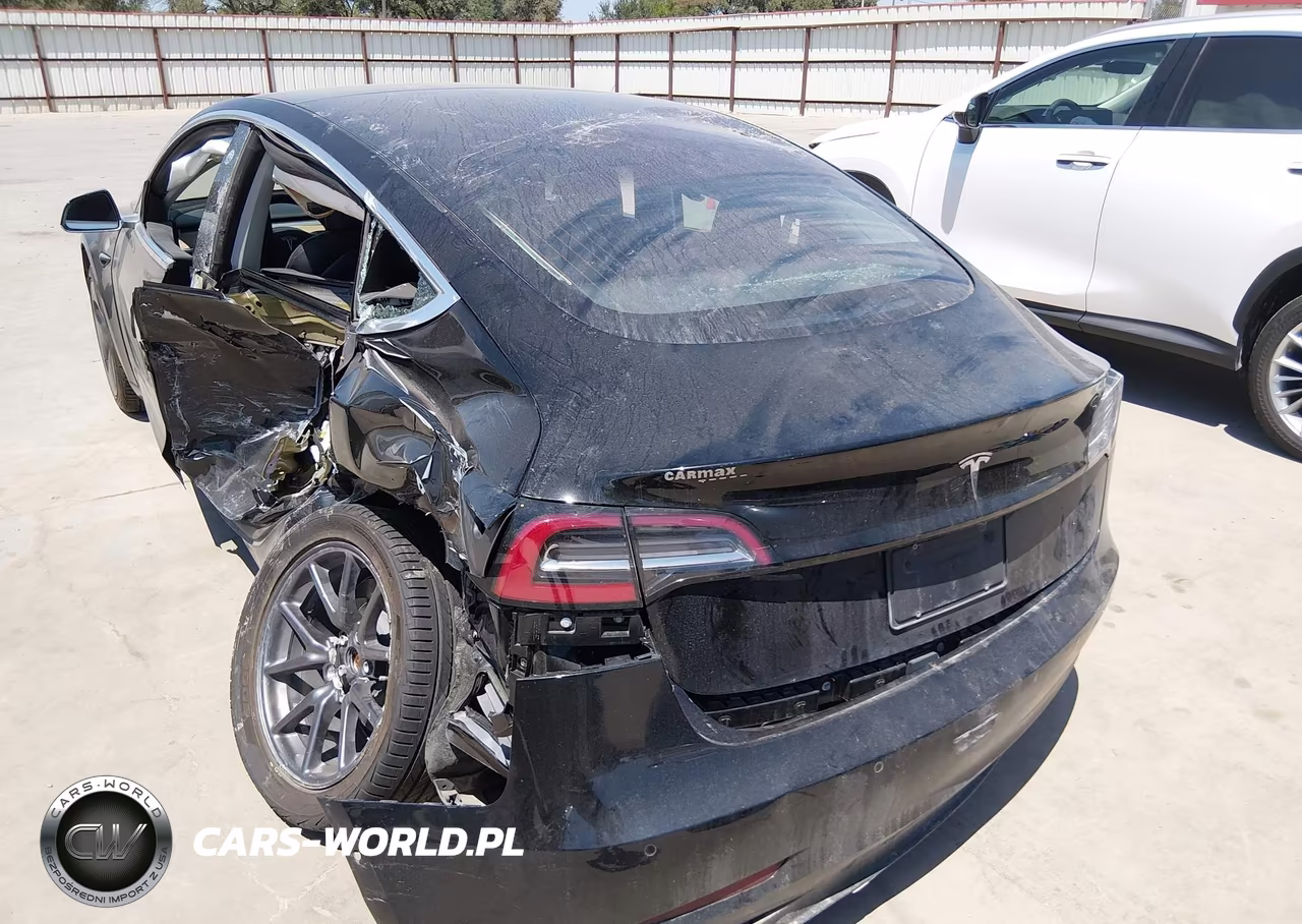 2019 Tesla Model 3 Long Range-Mid Range-Standard Range-Standard Range Plus VIN:5YJ3E1EA0KF306402 - 3