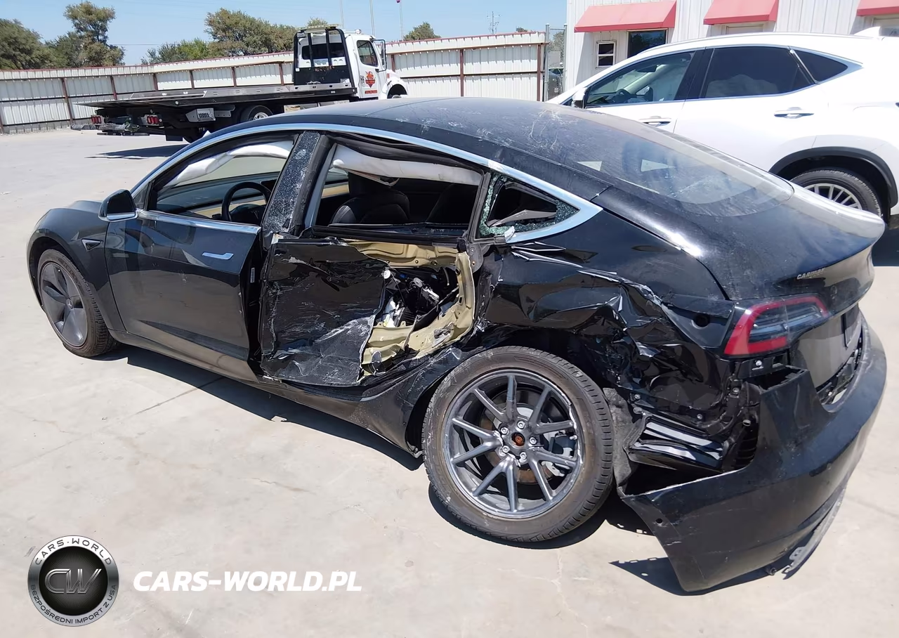 2019 Tesla Model 3 Long Range-Mid Range-Standard Range-Standard Range Plus VIN:5YJ3E1EA0KF306402 - 6