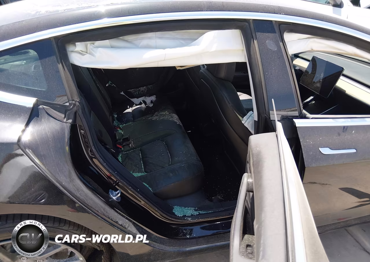 2019 Tesla Model 3 Long Range-Mid Range-Standard Range-Standard Range Plus VIN:5YJ3E1EA0KF306402 - 8