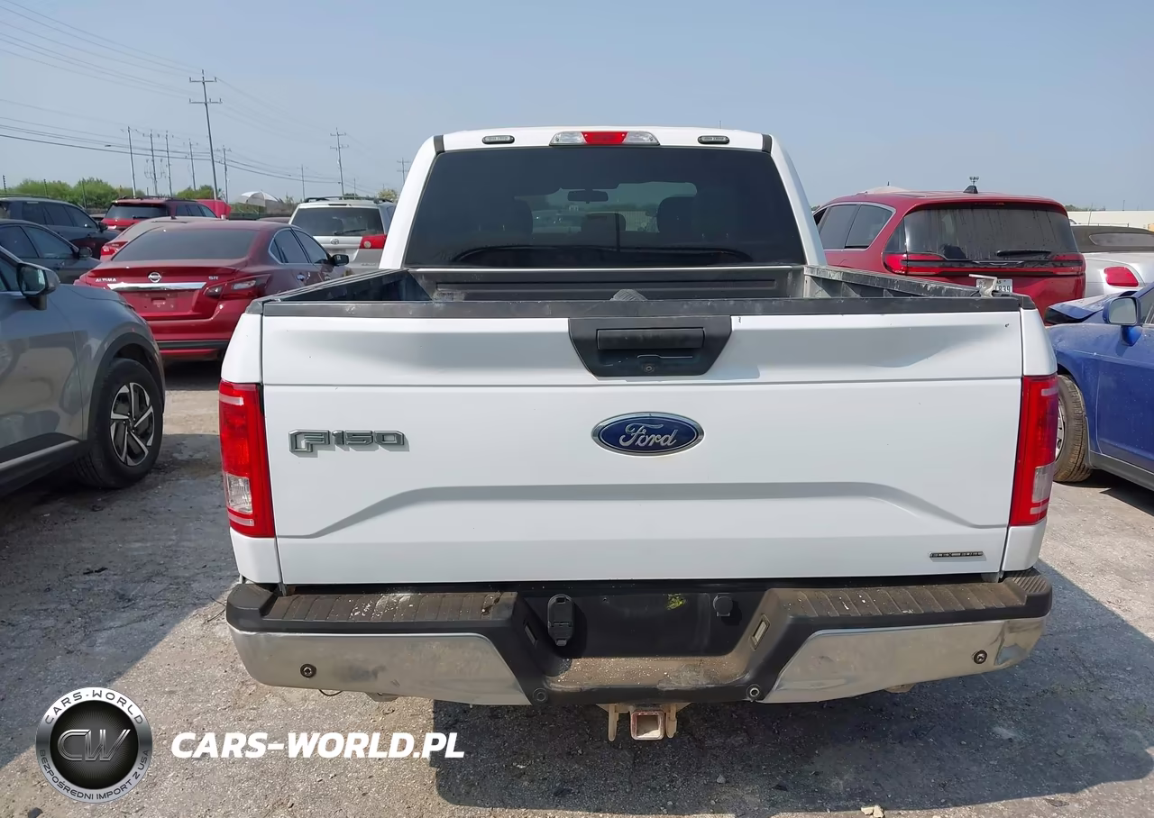 2016 Ford F-150 Xl VIN:1FTEW1C84GKF34404 - 16