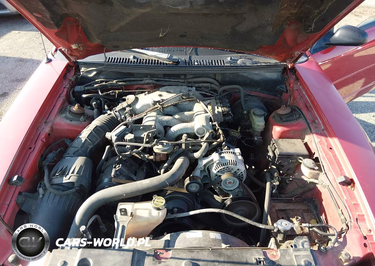 1999 Ford Mustang VIN:1FAFP4441XF186459 - 10