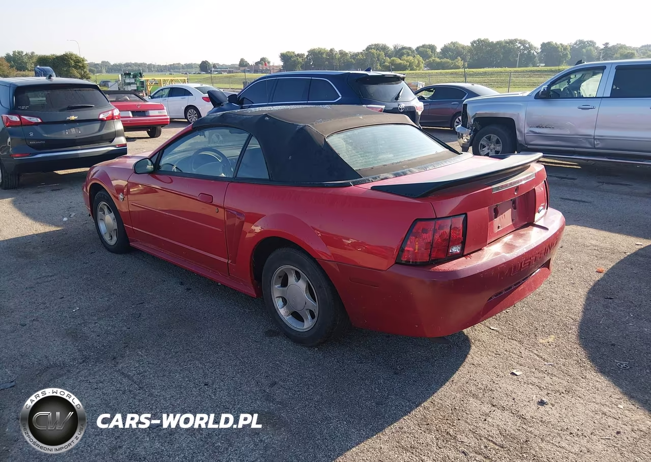 1999 Ford Mustang VIN:1FAFP4441XF186459 - 3
