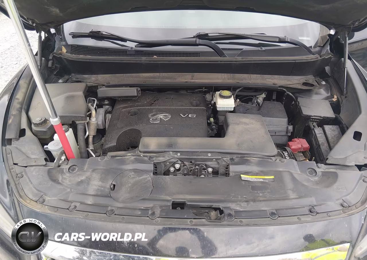 2016 Infiniti Qx60 VIN:5N1AL0MM1GC526232 - 10