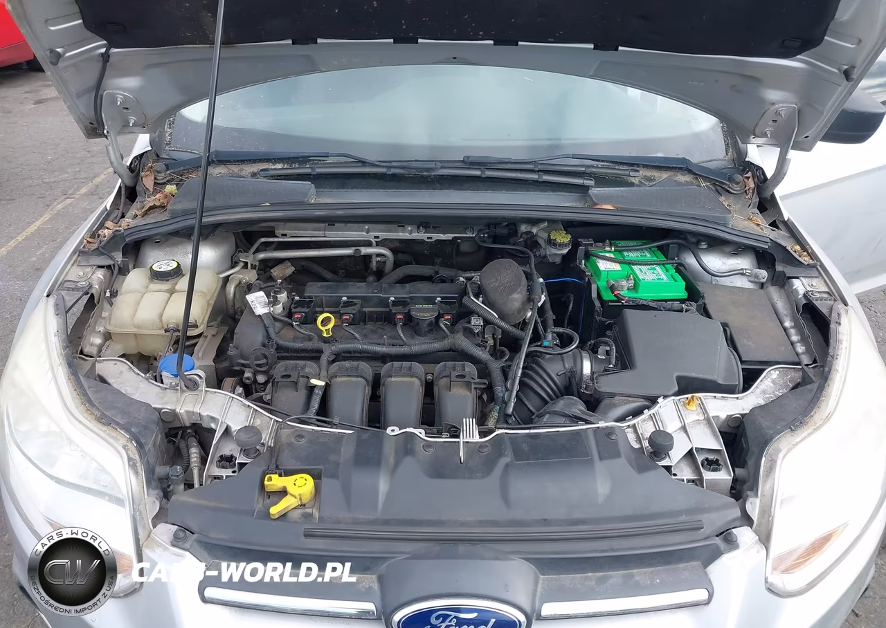 2013 Ford Focus S VIN:1FADP3E29DL118910 - 10