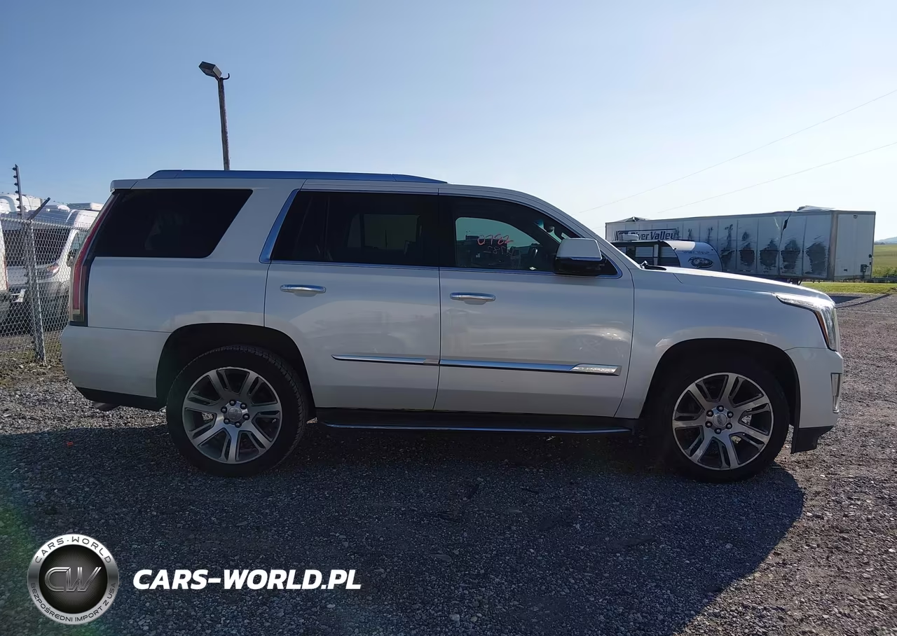 2015 Cadillac Escalade Luxury VIN:1GYS4MKJ1FR691659 - 13