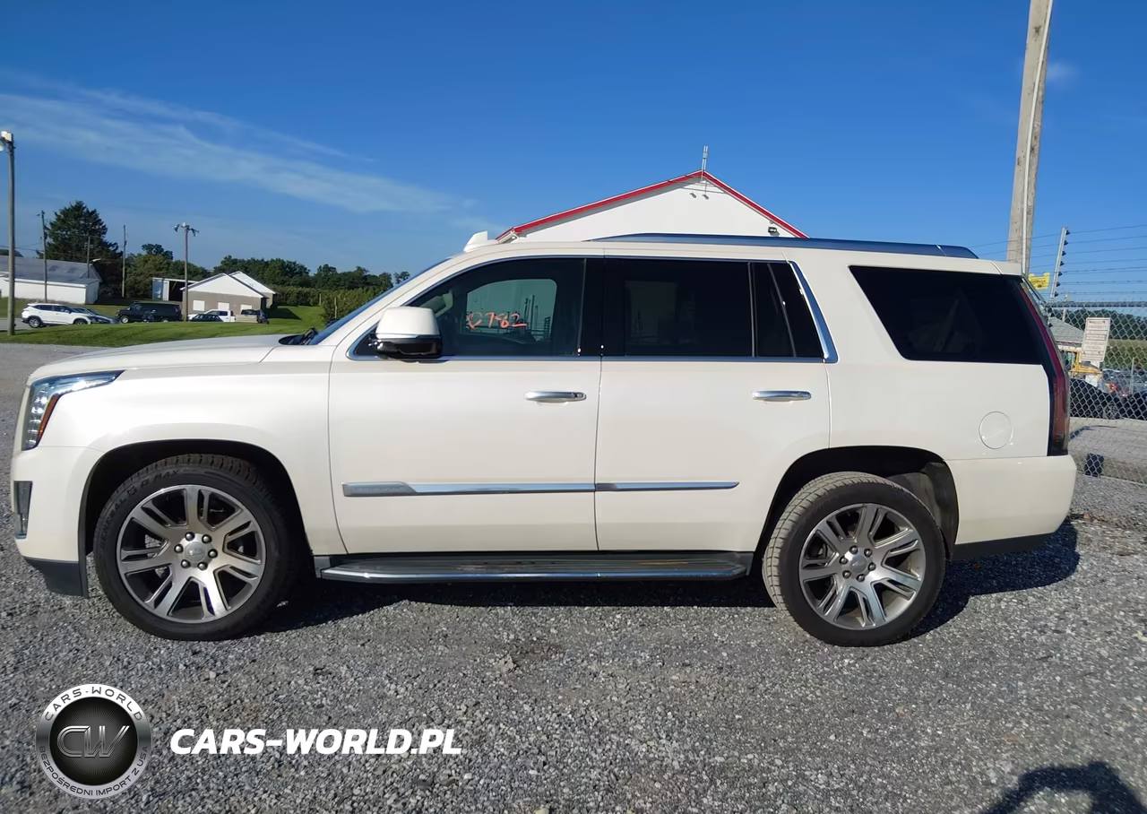 2015 Cadillac Escalade Luxury VIN:1GYS4MKJ1FR691659 - 14