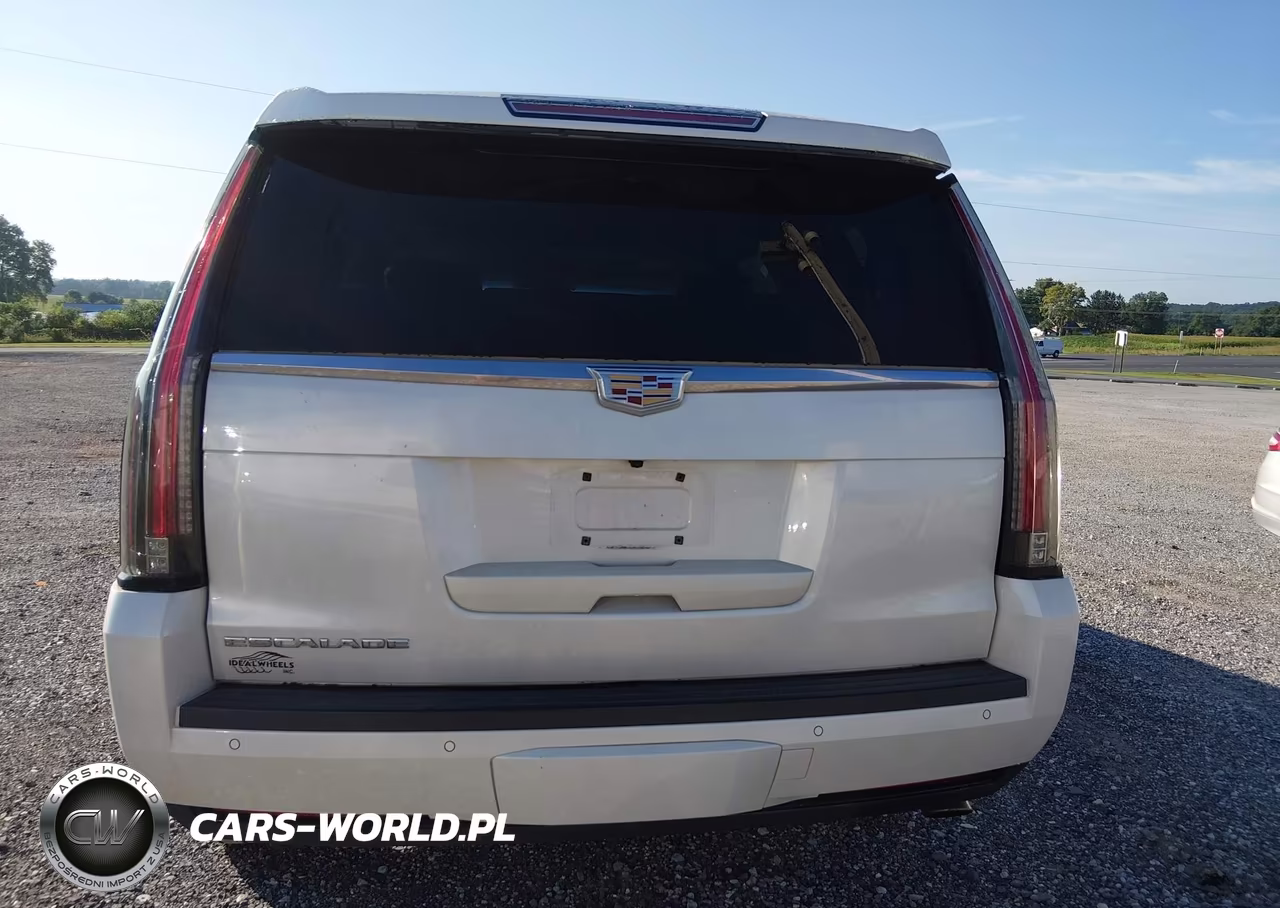 2015 Cadillac Escalade Luxury VIN:1GYS4MKJ1FR691659 - 16