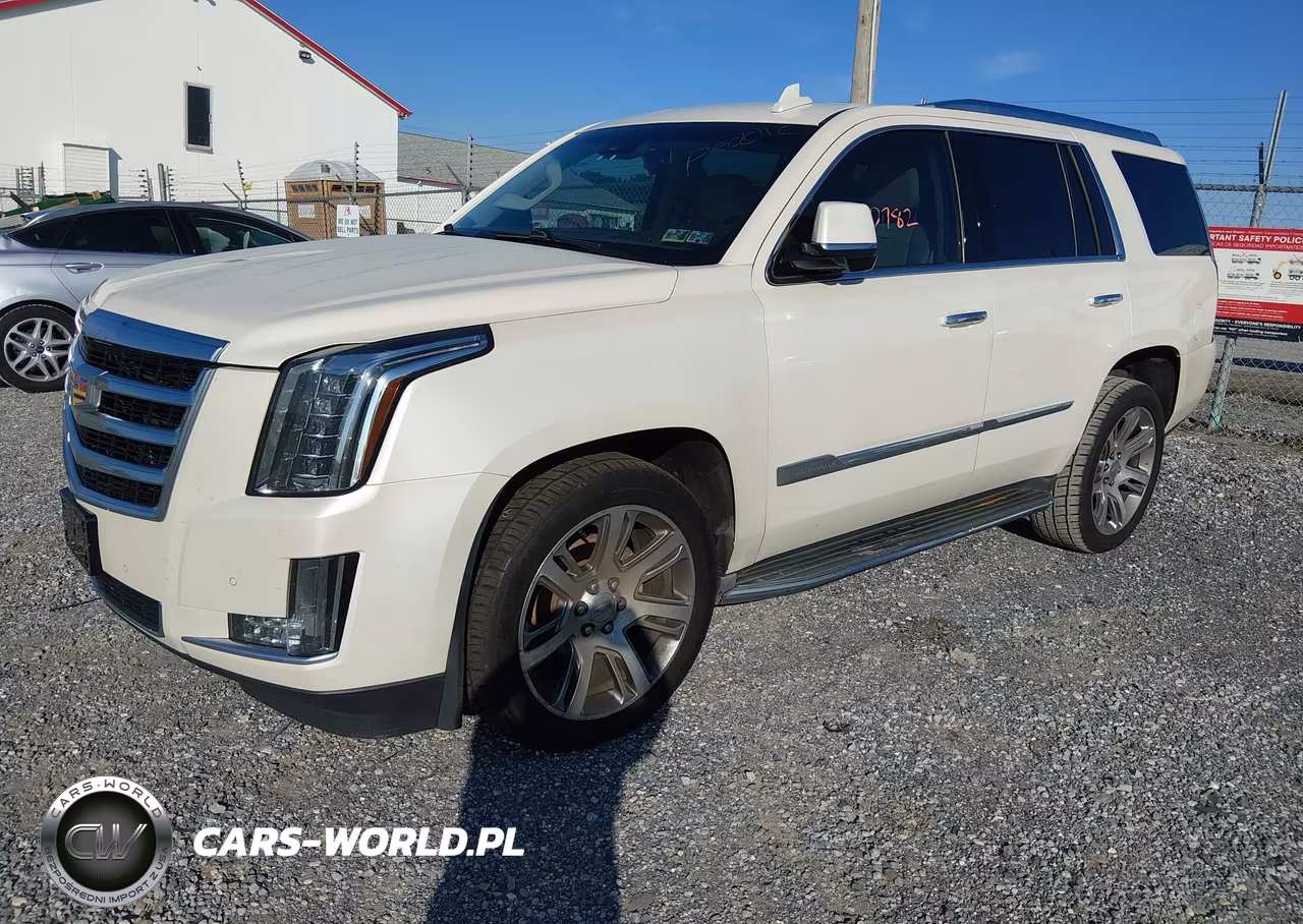2015 Cadillac Escalade Luxury VIN:1GYS4MKJ1FR691659 - 2
