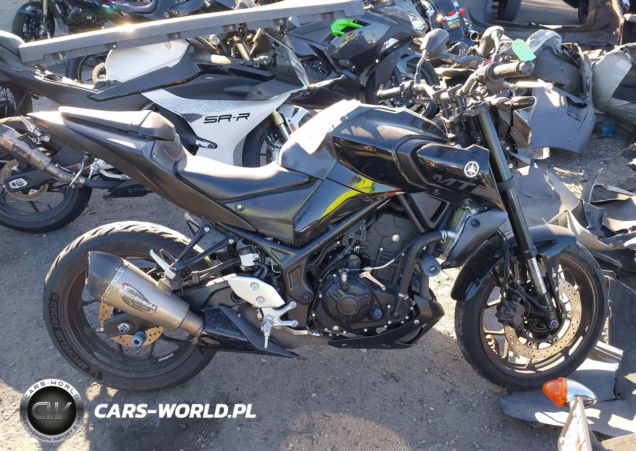 2020 Yamaha Mt-03 VIN:MH3RH20Y6LK002959 - 11