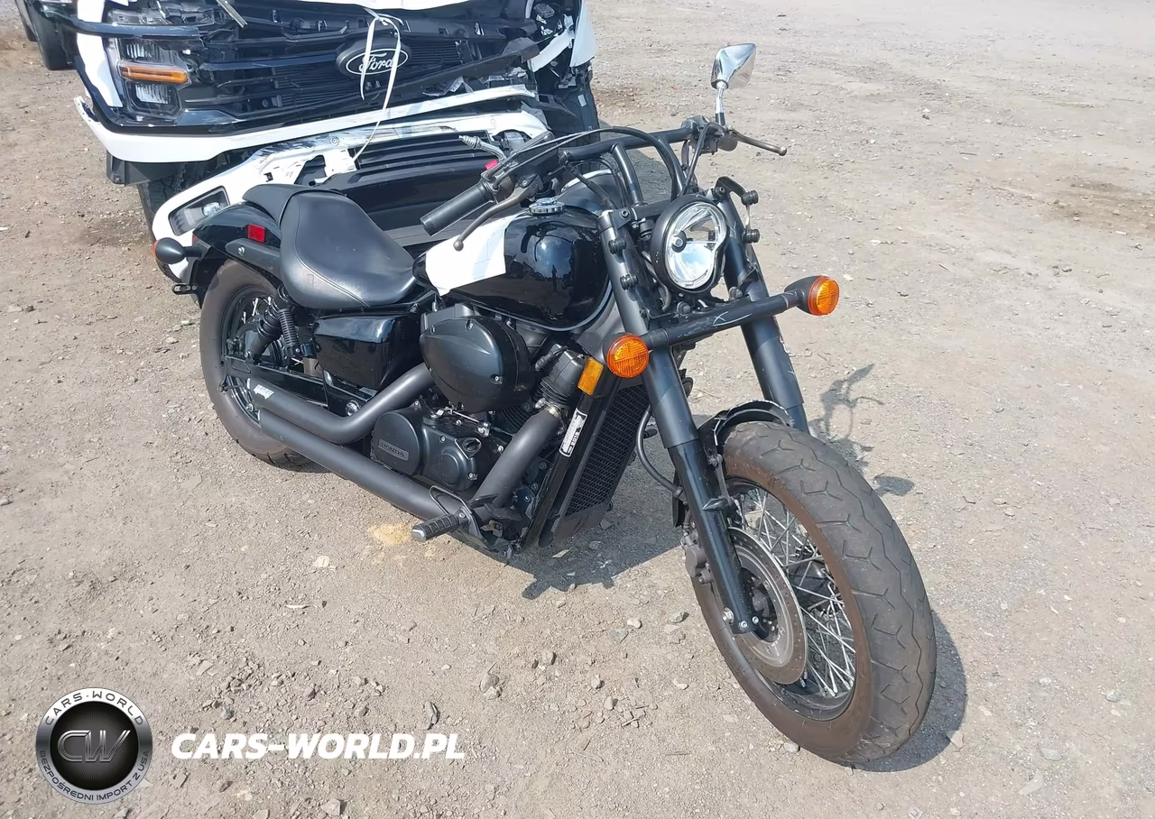 2015 Honda Vt750 C2B