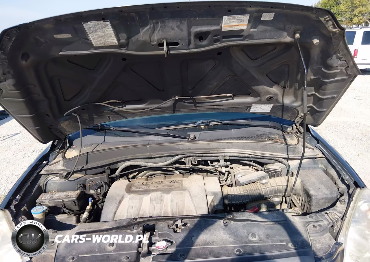2005 Honda Pilot Ex VIN:2HKYF18485H502084 - 10