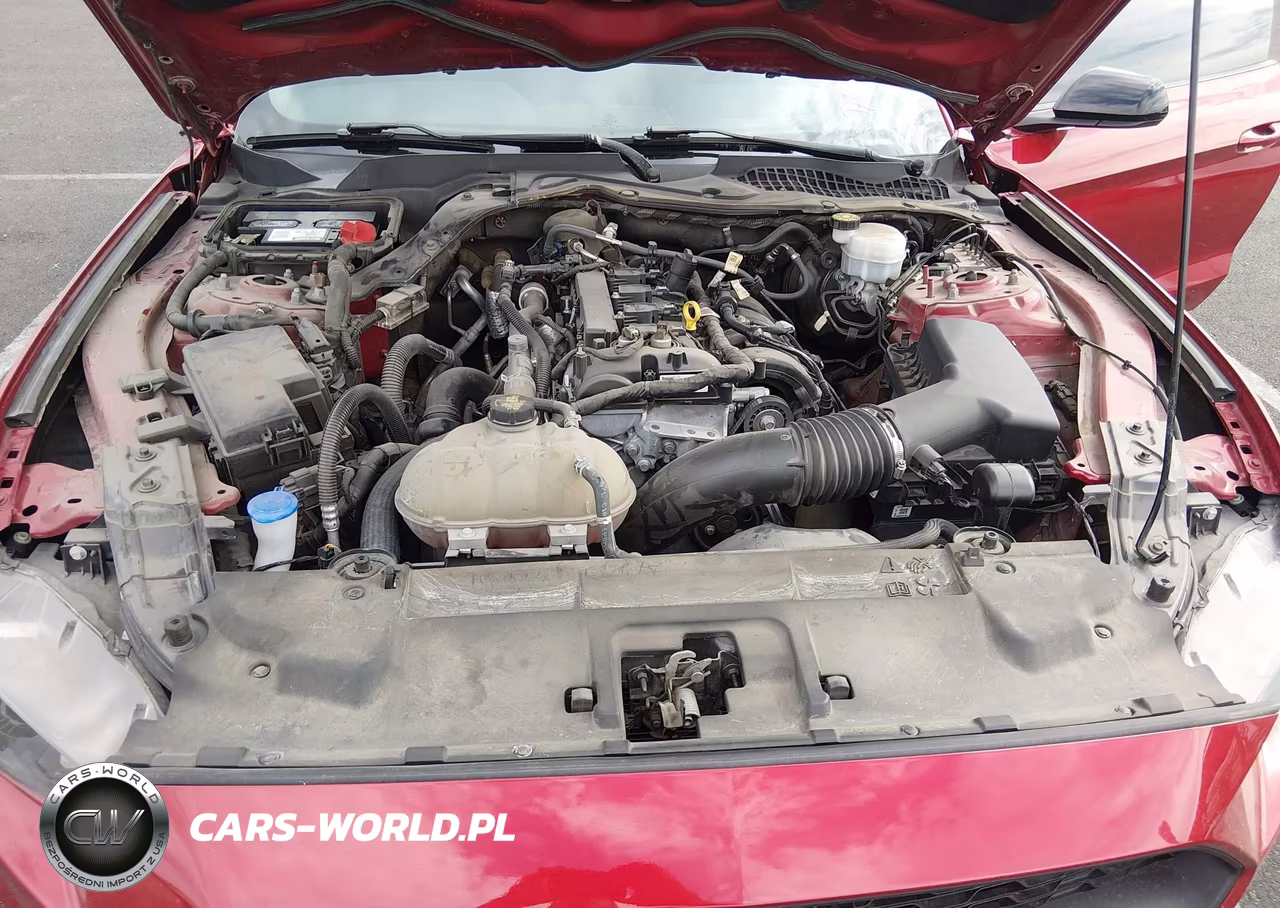 2022 Ford Mustang Ecoboost Fastback VIN:1FA6P8TH8N5133191 - 10