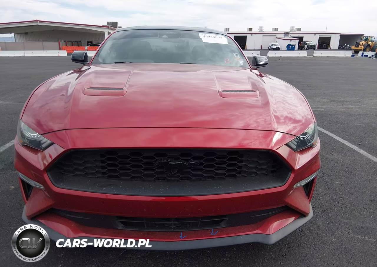 2022 Ford Mustang Ecoboost Fastback VIN:1FA6P8TH8N5133191 - 12