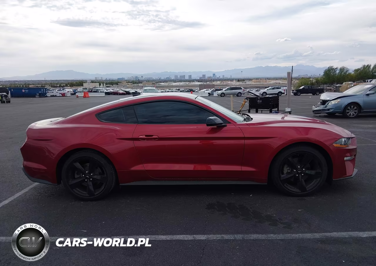 2022 Ford Mustang Ecoboost Fastback VIN:1FA6P8TH8N5133191 - 13