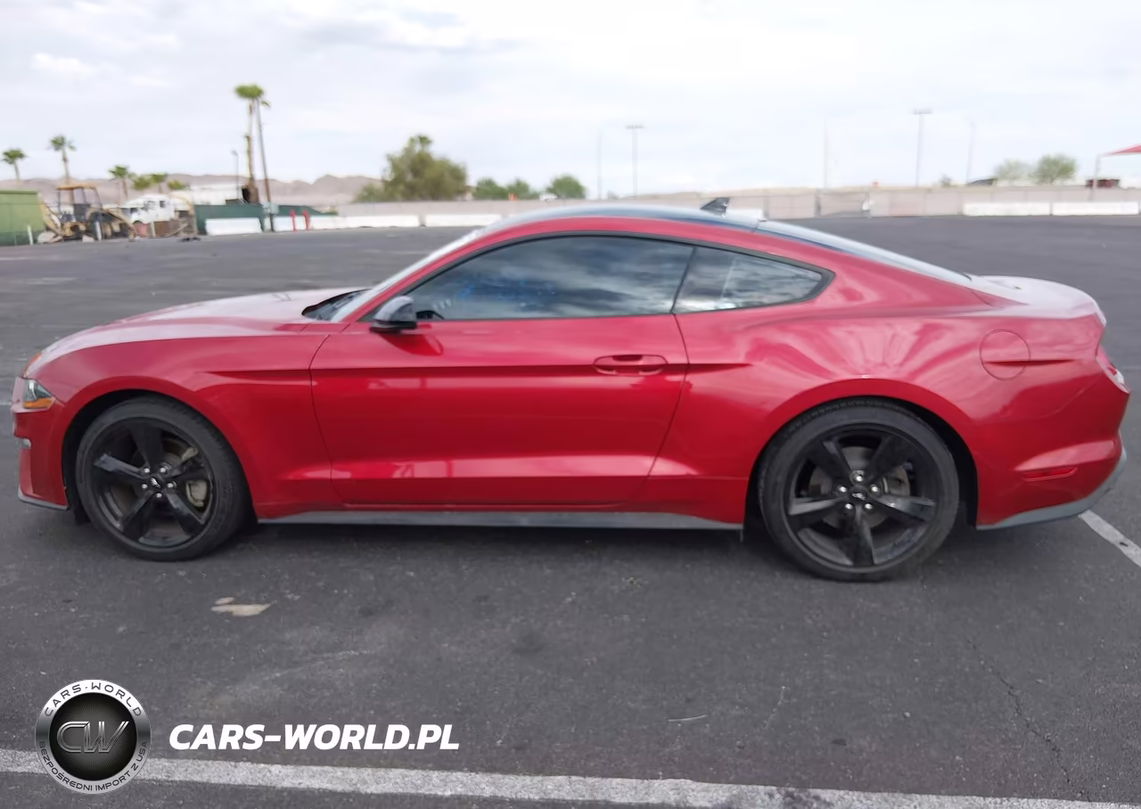 2022 Ford Mustang Ecoboost Fastback VIN:1FA6P8TH8N5133191 - 14