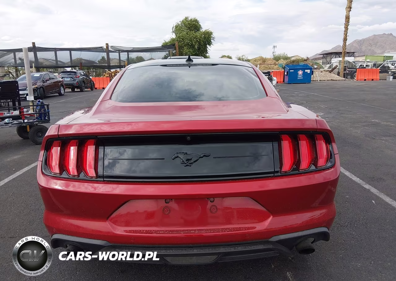 2022 Ford Mustang Ecoboost Fastback VIN:1FA6P8TH8N5133191 - 16
