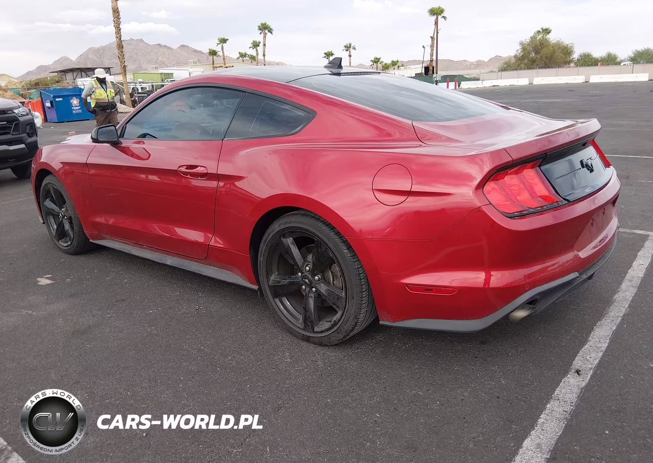 2022 Ford Mustang Ecoboost Fastback VIN:1FA6P8TH8N5133191 - 3